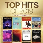Top Hits of 2019, PVG