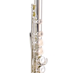 Gemeinhardt AFL100 Artisan Student Flute