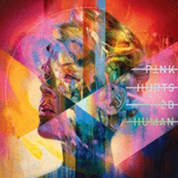 P!nk - Hurts 2B Human