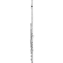 Azumi AZ1SRBEO  Int. Flute w/Split E